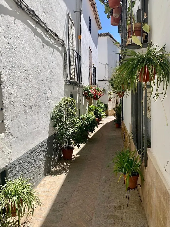 Сasa de vacaciones Villa Casa Enmedio Iznatoraf